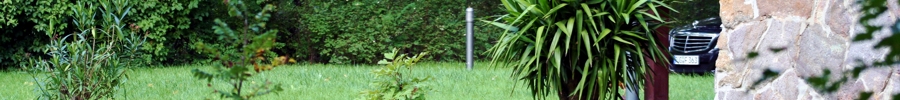 STIMMO - Ihr Partner in Fragen Hausbau in Sachsen