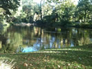 seltene Grundstückslücke in Güldengossa nahe <br> Störmthaler See seltene Grundstückslücke in Güldengossa nahe <br> Störmthaler See